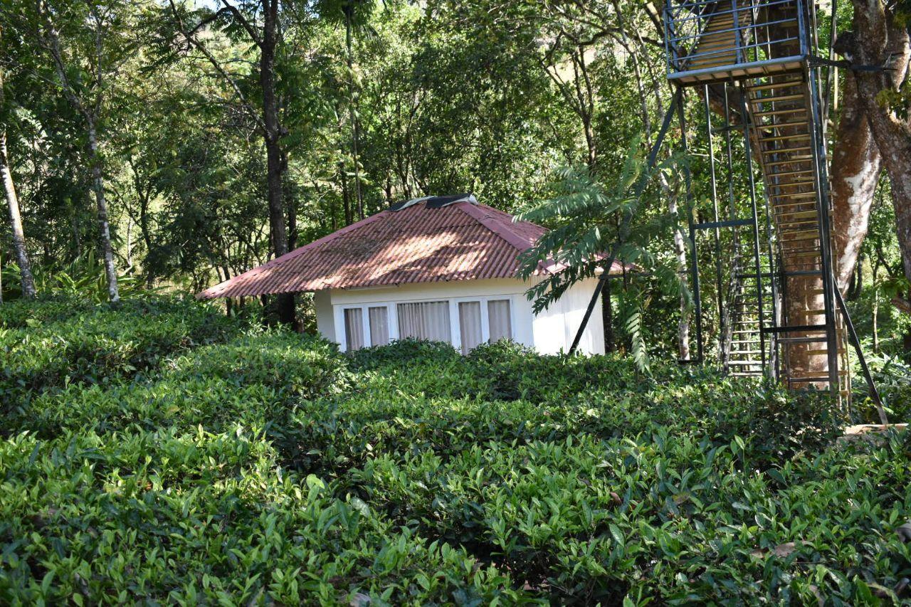 Orma Farm Resort Vagamon Exteriör bild